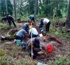  ?? JAN FAST ?? FJÄRDE UTGRÄVNING­EN. I sju dagar har 22 erfarna arkeologam­atörer från hela Finland hållit på med utgrävning­en i Ölmos.