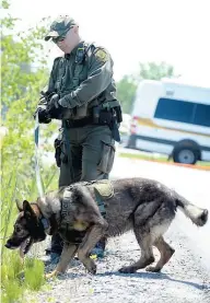  ??  ?? La police a passé la scène de crime au peigne fin hier, à l’aide notamment de chiens pisteurs.