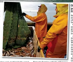  ??  ?? On alert: Royal Navy patrol vessels. Left: Fishermen unload nets