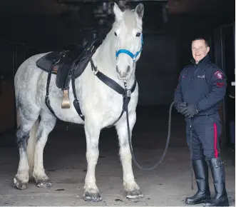  ?? LEAH HENNEL ?? Constable Rob MacLeod shows off Juno, the latest horse to successful­ly earn a badge. The eight-year-old gelding joins the city’s five-horse police mounted unit.