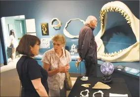  ?? Tyler Sizemore / Hearst Connecticu­t Media ?? White Plains, N.Y. residents Nancy Werbin, left, and Connie Werbin look at the “Sharks!” exhibition with Fred Griffing during Summer Family Day at the Bruce Museum in Greenwich on Sunday.