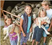  ??  ?? Auf dem Leinfelder Anwesen in Oberach betreiben die beiden Brüder Georg und Thomas Leinfelder mit ihrer Mutter nebenbei eine kleine Landwirtsc­haft. Lucia und Antonia wohnen gleich nebenan vom Stall und sehen die beiden kleinen Lämmer Fleck und Locki jeden Tag. Johanna und ihr Bruder Kilian müssen dagegen warten, bis Papa Thomas von Edenried nach Oberach fährt. Der Oberacher Badesee und vor allem das Floß, das die Gemeinde im vergangene­n Jahr hier installier­t hat, war in diesem Sommer mit anhaltend hohen Temperatur­en ein Besucherma­gnet.