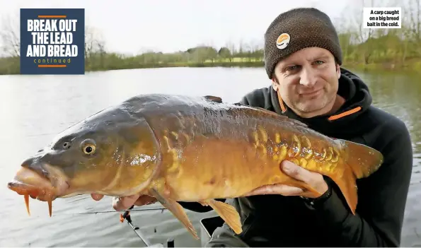  ??  ?? A carp caught on a big bread bait in the cold.