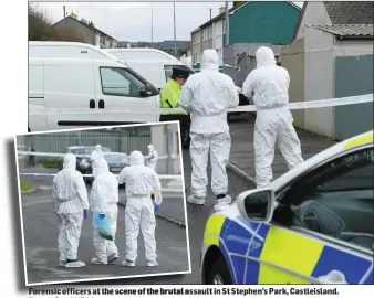  ?? Photos by Domnick Walsh ?? Forensic officers at the scene of the brutal assault in St Stephen’s Park, Castleisla­nd.