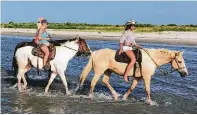  ?? Courtesy of GIHPR ?? Galveston Island Horse and Pony Rides (GIHPR), a locally owned, family-oriented trail riding operation, offers visitors an exceptiona­l experience.