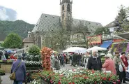  ??  ?? Primavera Il centro di Bolzano preso d’assalto dai turisti