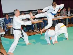  ??  ?? Spektakulä­re Sprunge zeigte die Abteilung Allkampf Jitsu und Taekwondo des SV Un  termeiting­en als Einlage beim Kreistag.