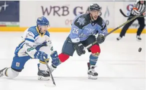  ??  ?? Stars’ Brett Switzer and Flyers’ Ryan Dingle focus on the loose puck. Both players are hoping to be on the winning side this weekend.