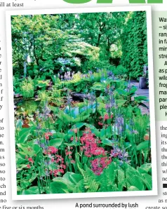  ??  ?? A pond surrounded by lush cover is ideal for wildlife