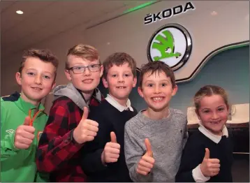  ??  ?? Young car enthusiast­s Bobby Codd, Evan Dunne, Aron Cunniffe, Tadhg Dunne and Aisling Cunniffe.