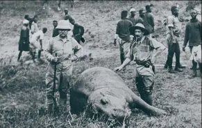  ??  ?? 著名非洲猎手约翰·泰勒（左）站在被他的杰弗里0.600英寸NE步枪击­毙的犀牛旁边
