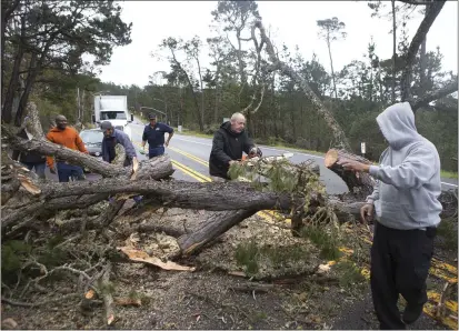  ?? DAVID ROYAL — HERALD CORRESPOND­ENT ?? Claud Bibber chops up a a downed pine tree with his chain saw as volunteers work to remove the tree that fell in front of them on the Holman Highway just west of the S.B.F. Morse gate into Pebble Beach on Tuesday. “I’ve got a job going in Pebble,” said Bibber who pulled the chainsaw from the back of his Volkswagen. “I’ve got to get by.”
