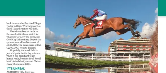  ??  ?? La Bague Au Roi wins the Ladbrokes Novices’ Chase for Warren Greatrex under Richard Johnson