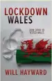  ??  ?? Lockdown Wales by Will Hayward