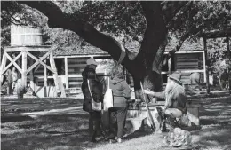  ?? Jerry Lara / Staff Photograph­er ?? Gil Tafolla Hernandez talks about his great-grandfathe­r, Santiago, who was a cattle rancher, Methodist minister and fought in the Texas-Indian and Civil Wars, among other things.