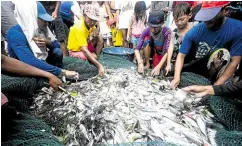  ?? —WILLIE LOMIBAO ?? LINGAYEN GULF BOUNTY The Lingayen Gulf is a major source of livelihood for small fishermen in Pangasinan’s coastal towns.