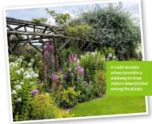  ??  ?? A rustic wooden arbour provides a walkway to draw visitors down further among the plants