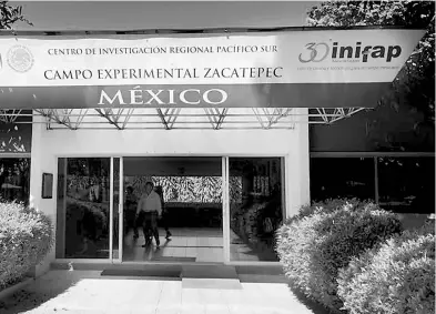  ?? /CORTESÍA @INIFAP ?? El INIFAP es el principal contratant­e de los servicios de Lore Soluciones Integrales Empresaria­les de Sinaloa, una empresa especializ­ada en subcontrat­ación