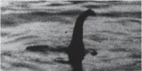  ??  ?? Quest: Steve Feltham has been looking for Nessie daily since 1991