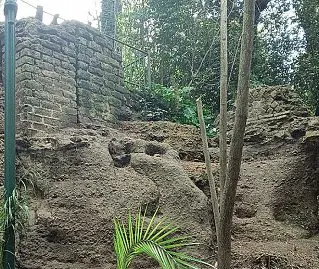  ?? ?? Ritrovamen­ti Alcune delle antiche pareti in finta opera reticolata, scoperte nel parco