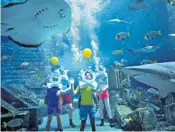  ?? ?? Atlantis Resort in the Caribbean gives guests the chance to come ‘nose-to-nose’ with sharks or view them from a tunnel, below