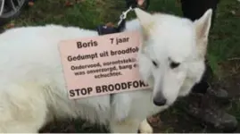  ??  ?? Hond Boris, die zelf van een broodfokke­r kwam, liep met zijn baasje mee in de optocht tegen broodfok.