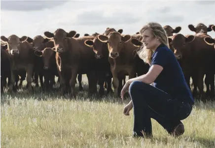  ??  ?? dr. lora bledsoe cares for more than 85,000 livestock patients that are spread over 7,300 square miles on the eastern plains of colorado.