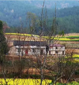 ??  ?? Pang Mailang’s home in Ningqiang County, Hanzhong, Northwest China’s Shaanxi Province