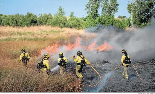  ?? FOTOS: RAFA DEL BARRIO ?? Los bomberos del Infoca atacan las llamas en el incendio declarado en Bonares.