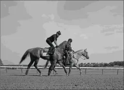  ?? BARBARA D. LIVINGSTON ?? Justify earned Beyers of 103, 97, and 101 in the Triple Crown.