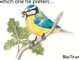  ??  ?? Blue Tit art