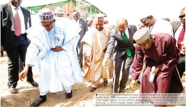  ??  ?? From left: President Muhammadu Buhari; Governor Atiku Bagudu of Kebbi State; CBN Governor, Godwin Emefiele; and Minister of Agricultur­e, Chief Audu Ogbeh, at the official flag-off of ‘Dry Season Rice and Wheat Farming’ in Birnin-Kebbi, Kebbi State on the 16th November, 2016.