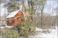  ?? Erik Hesselberg / Contribute­d photo ?? One home on Orchard Road in Haddam saw a large amount of trees toppled during the nor’easter. Power there was restored to homes at 11:30 p.m. on Thursday.