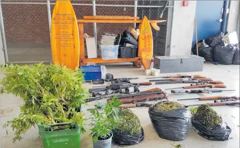  ??  ?? Some of the guns and cannabis that were seized from four Central Hawke’s Bay properties last month.