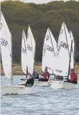  ??  ?? The Optimist open is under way at Chichester Yacht Club