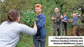  ?? Eden Project ?? > The planting involved the Defence Gardens Scheme and National Wildflower Centre