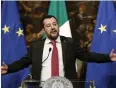  ??  ?? Matteo Salvini.