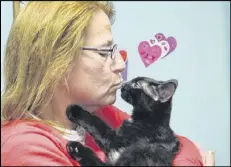  ?? AP ?? Debbie Grondin kisses Peyton, a black cat, in her Lacey Township, N.J., home. The founder of a cat rescue facility placed Peyton with Grondin until the cat is adopted.