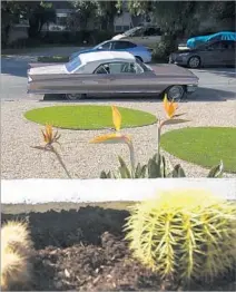  ?? Gina Ferazzi Los Angeles Times ?? A SEA of Del Rio stones surrounds islands of artificial grass in one area of the yard. Cactuses occupy an entryway planter box.