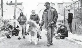  ?? ALGERINA PERNA/BALTIMORE SUN ?? Demi Solomon, 6, rides Patrick, a miniature Shetland pony guided by arabber David Johns. At left is her father, Daryl Solomon.