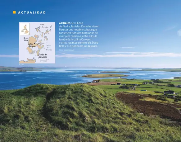  ?? NG MAPS DOUGH HOUGHTON/ALAMY ?? LOS RASGOS DEL PERRO QUE VIVIÓ EN LAS ISLAS ÓRCADAS HACIA 2500 A.C. SE HAN RECONSTRUI­DO CON TÉCNICAS DE MODELADO FORENSE. A FINALES de la Edad de Piedra, las islas Órcadas vieron florecer una notable cultura que construyó túmulos funerarios de múltiples cámaras, entre ellos la tumba de la colina Cuween y otros recintos como el de Skara Brae y «La tumba de las águilas».