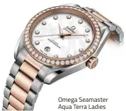  ??  ?? Omega Seamaster Aqua Terra Ladies