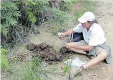  ?? Picture: STEWART PATTERSON ?? ON THE TRAIL: Author Gareth Patterson takes DNA samples from elephant dung in the Knysna Forest