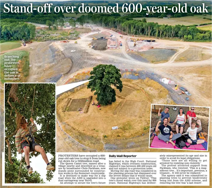  ?? ?? Branching out: The protesters have occupied the oak in defiance of bulldozers