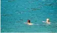  ?? Foto: Lino Mirgeler, dpa ?? Manchmal würde man gerne hüllenlos schwimmen.