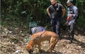  ?? OIJ ?? El peludito permaneció buen rato olfateando el lugar.