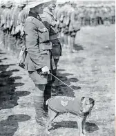  ?? ?? Paddy, wearing a coat with his name and sergeant’s stripes on it, looks around during the inspection of the Wellington Infantry Regiment by Prime Minister William Massey at Vauchelles, France, on 30 June 1918.