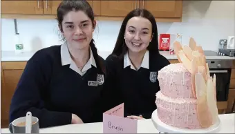  ??  ?? Róisín Ring and Ellie Merrigan, winners of the DCW Senior Bake Off competitio­n at Dominican College Wicklow, pictured with their ‘Brush Stroke’ cake.