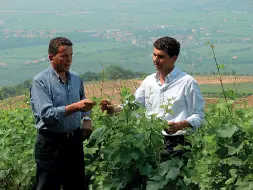  ??  ?? Etichetta Sandro e Claudio Gini. È la loro azienda a produrre il Soave Contrada Savarenza, entrata nella classifica dei 50 migliori vini italiani