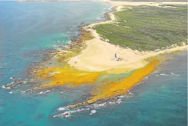  ??  ?? NATURAL SPLENDOUR: An aerial view of Port Elizabeth’s Cape Recife lighthouse and nature reserve